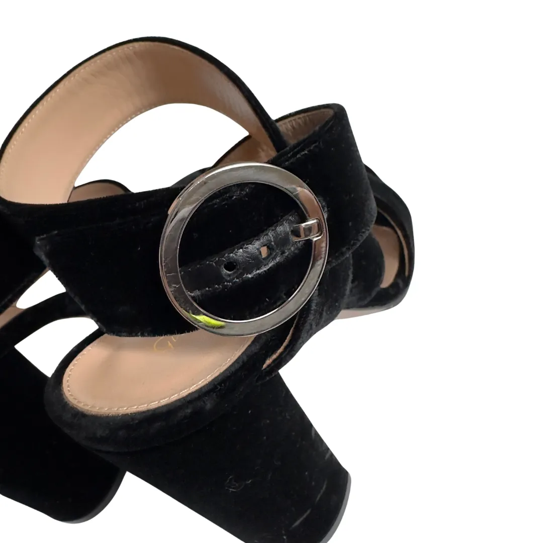Gianvito Rossi Black Velvet Block Heels